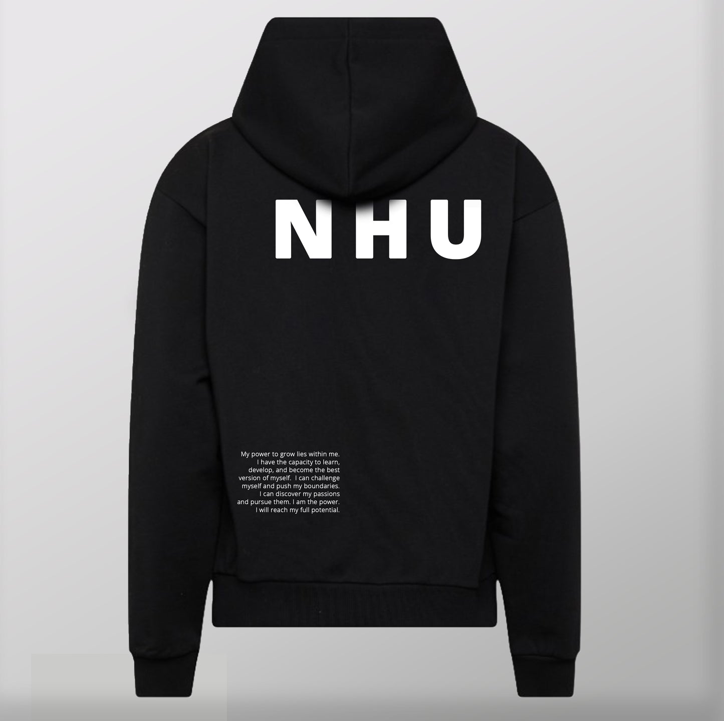 Big Worlds NHU Unisex Hoodie